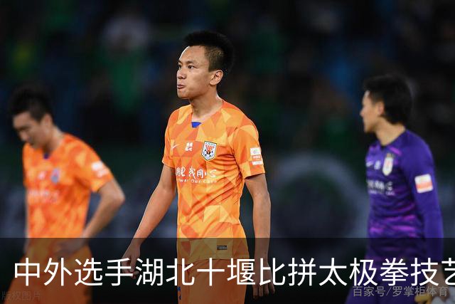 中外选手湖北十堰比拼太极拳技艺