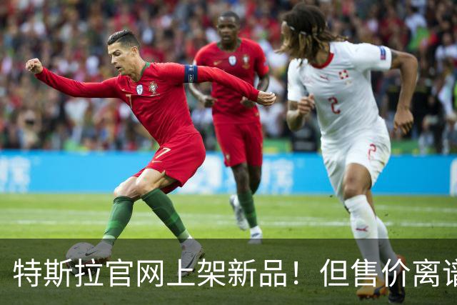 特斯拉官网上架新品！但售价离谱