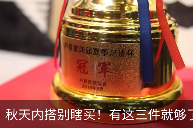 秋天内搭别瞎买！有这三件就够了，配啥外套都好看，谁穿谁省心