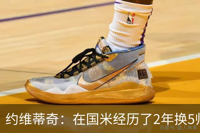 约维蒂奇：在国米经历了2年换5帅的混乱时期 我跟二弟瓜林吵过架