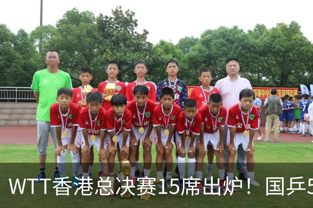 WTT香港总决赛15席出炉！国乒5席日乒6人，王楚钦林诗栋还未过线